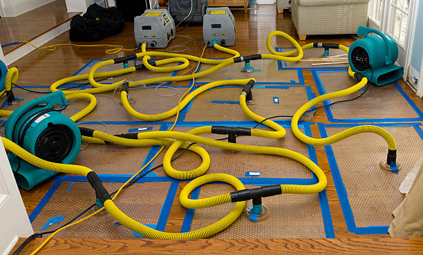 Professional Crawl Space Water Removal technician working in Dorsey, IL